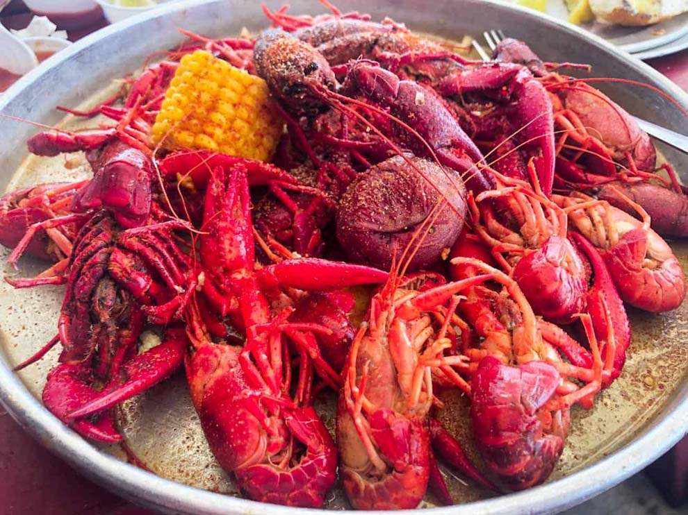 seafood foraging tips