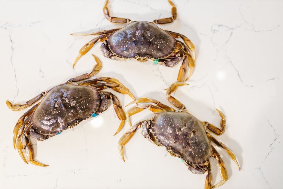 best bait for crabbing