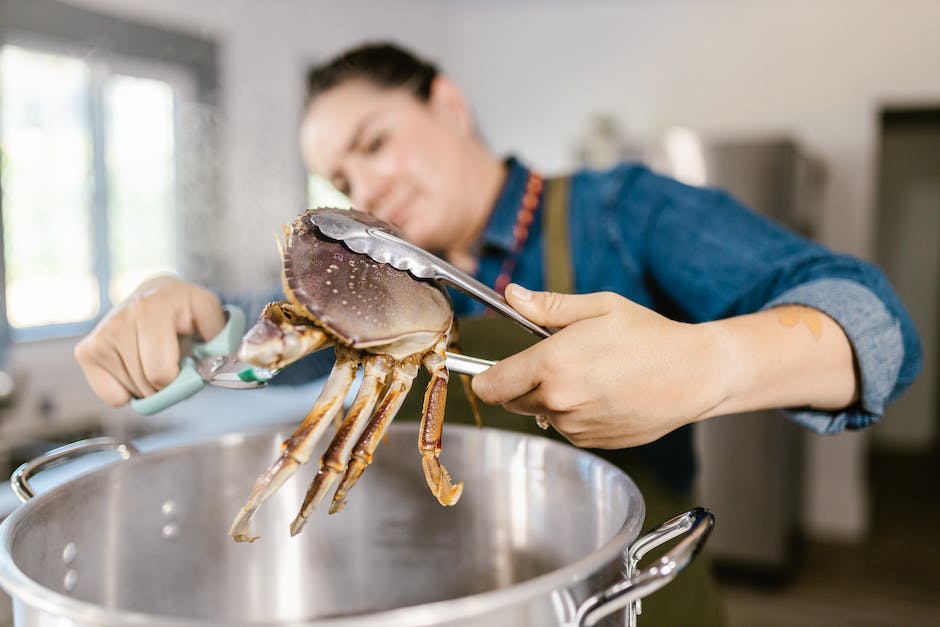 wild crab bait