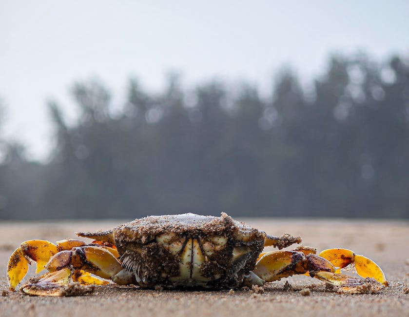 seafood foraging tips