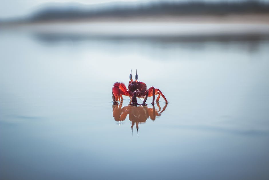 crab fishing