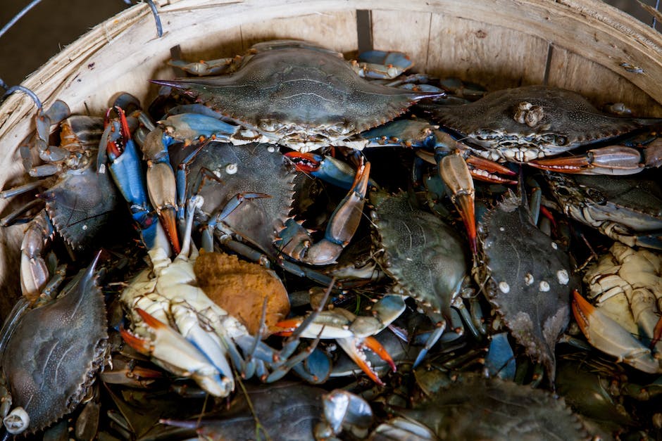 wild crab preparation