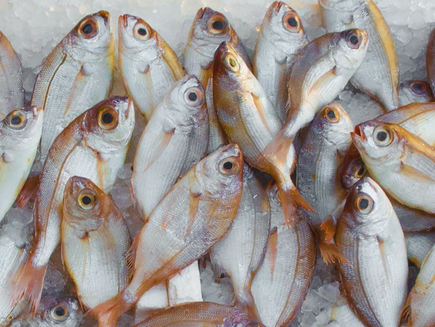 crabbing hotspots