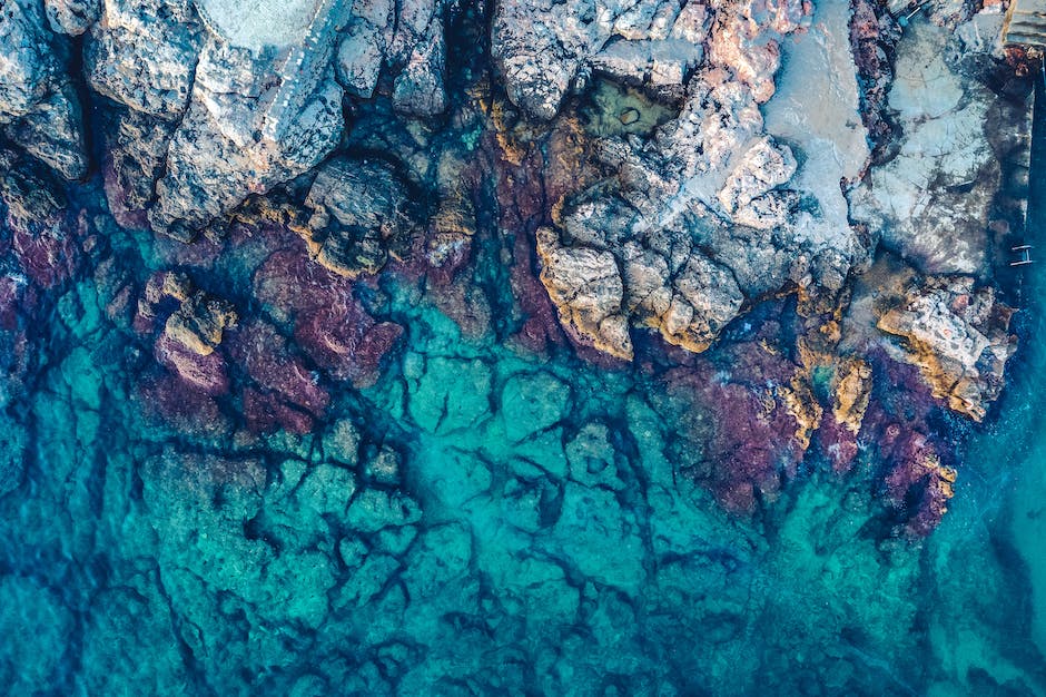 crabbing season guide