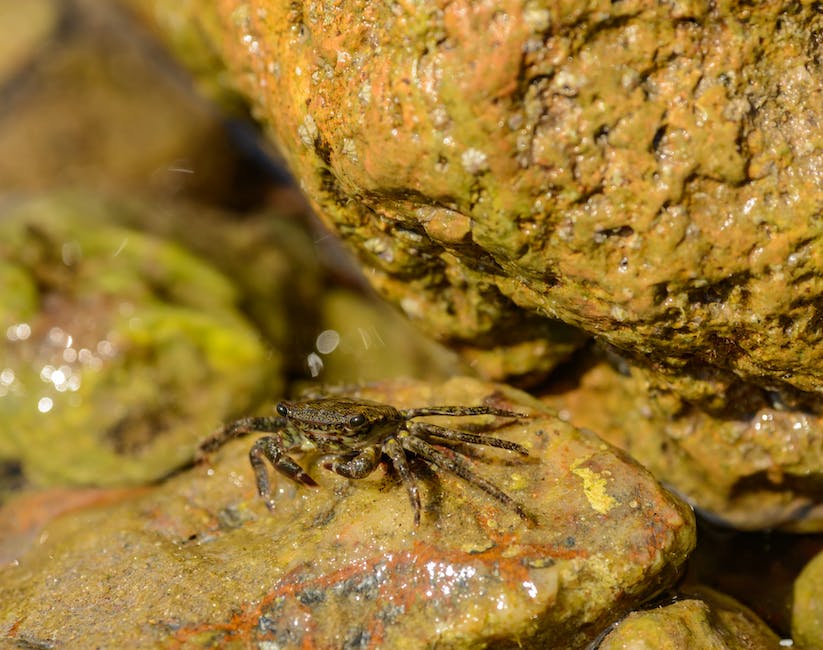 crab fishing