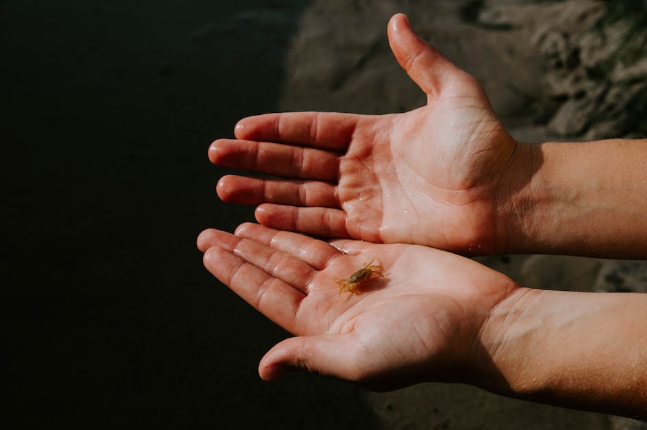 crab fishing